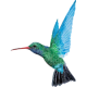 Caribbean Airlines-bw
